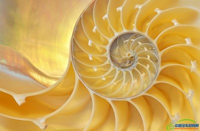 康隆(Cannon)Afros公司開發中空結構復合材料部件新工藝