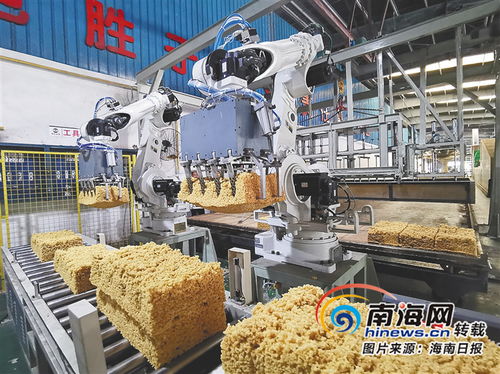 海南橡膠自我革新開新局 轉型升級激活力