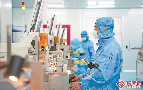 打造新時代革命老區振興發展 龍巖樣板