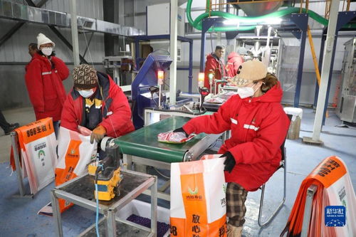 吉林各地按下發(fā)展 快進(jìn)鍵