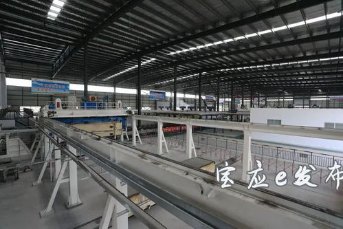 第一現(xiàn)場(chǎng) 寶應(yīng)舉行工業(yè)重點(diǎn)項(xiàng)目集中觀摩3