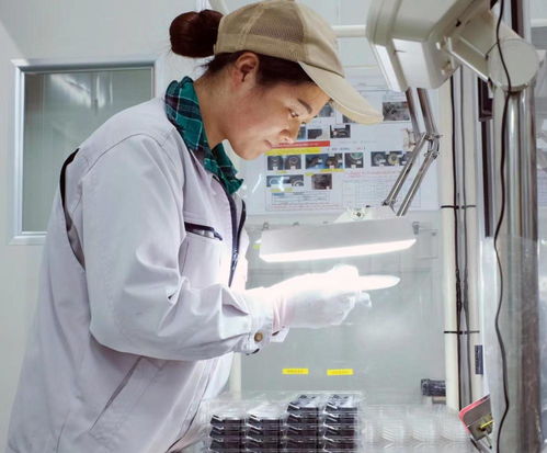 年初訂單已同比增20 為實(shí)現(xiàn)一季度開門紅,滬郊企業(yè)生產(chǎn)線馬力全開