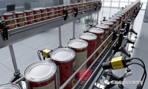 機器視覺在食品安全檢測領域的應用與展望