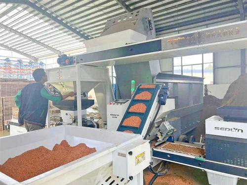 組圖 遂寧春日田間的科技范