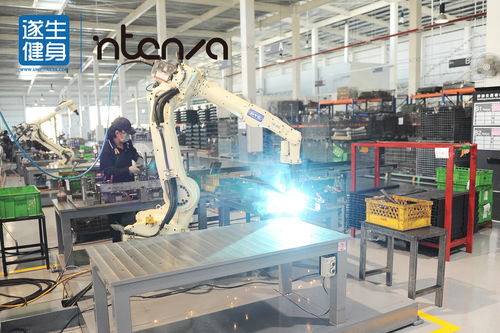 遂生健身 工藝與科技的碰撞 intenza i系列有氧系列產品