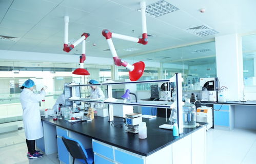 雙塔食品 開啟下一個奮進的十年