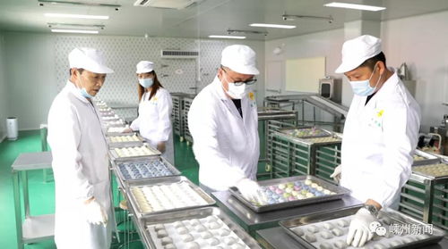 鼎源食品成功研發生胚發面速凍小籠包