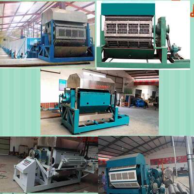 紙漿模塑設(shè)備研發(fā)和定制 國家支持的環(huán)保企業(yè)