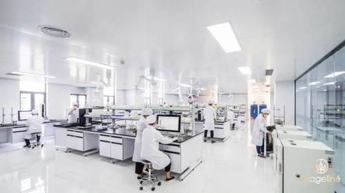 該輪到重視研發(fā)的化妝品崛起了