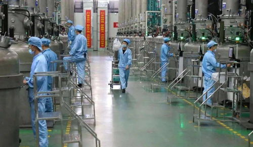 圖說丨十月塞上的那抹靚麗 協(xié)鑫藍(lán)