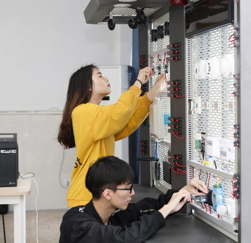 物聯網應用技術 聚焦于培養高素質的物聯網領域技術人才