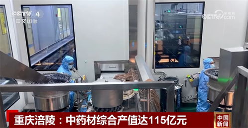 科技加持 政策發力 多領域 碩果累累 釋放中國經濟增長潛力