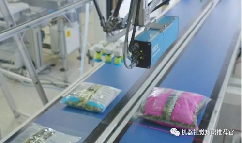 機器視覺在食品安全檢測領域的應用與展望