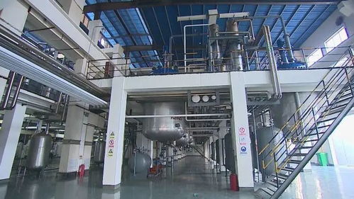 縣城里走出全球銷量冠軍