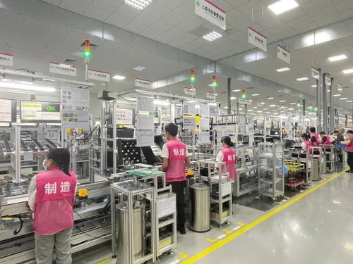 倒計時100天 南京市委書記 代市長率隊現場觀摩這兩個主城區