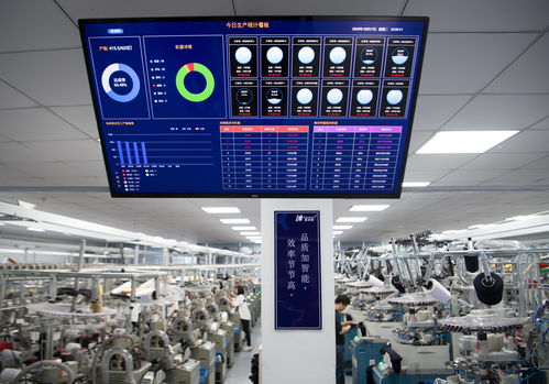 浙江諸暨 開拓創新 實現襪業增長