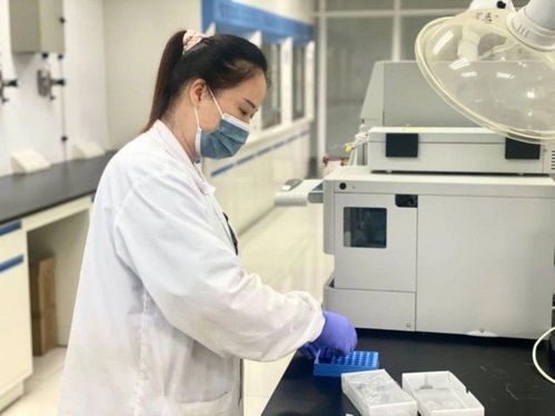 當(dāng)好新材料領(lǐng)域 排頭兵 ,松江這家上市企業(yè)產(chǎn)品遠(yuǎn)銷30多個國家和地區(qū)