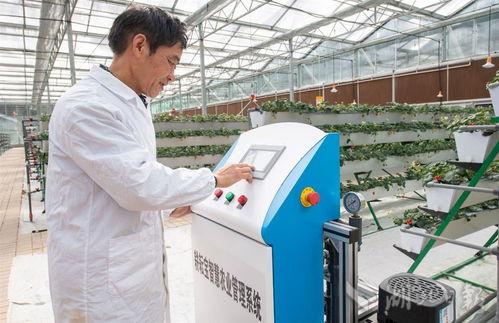 智慧設(shè)施農(nóng)業(yè)助力鄉(xiāng)村振興