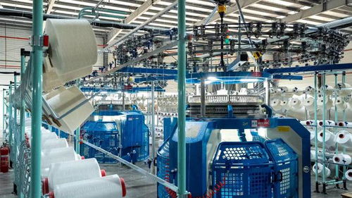 一企兩國三廠 跨境模式,讓紅河贏麻了