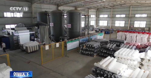 高質量發展調研行丨新疆 一朵棉花 鏈 起產業集群