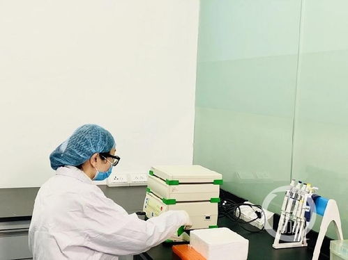 有望填補國內空白 重慶這家研發機構的靶向納米抗體藥物取得新進展