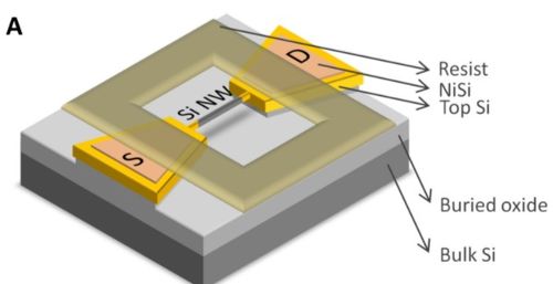 27歲中科大校友研發亞10nm級晶體管,可直接檢測固液界面上單個氫離子行為,有望檢測人體內數千種分子和離子
