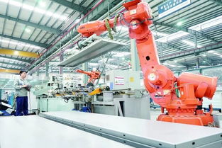 如何加強長三角產業協同創新 聽聽他們怎么說