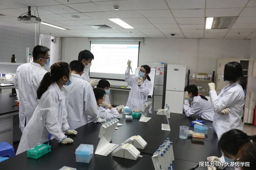 墻裂推薦 閃光少年,太好看了