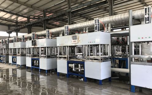 未來5年中國紙漿模塑市場規模前景分析 可降解餐具