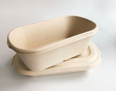 專訪茜碩:高端品牌包裝,專注于紙漿模塑產品設計研發 · 生產制造 · 供應鏈一體化的整體解決方案