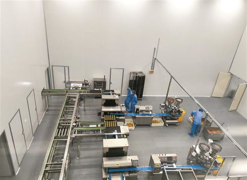 項目建設千帆競 轉型發展勢如虹