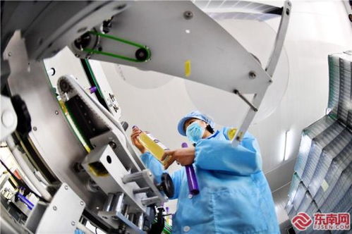 福安松羅 葡萄扶貧