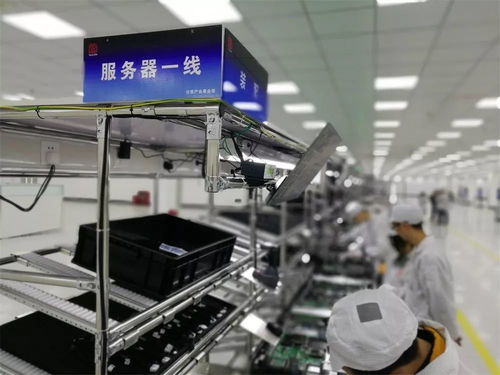 鯤鵬展翅 氣貫長虹 首批鯤鵬生態(tài)應(yīng)用示范工程落地綿陽