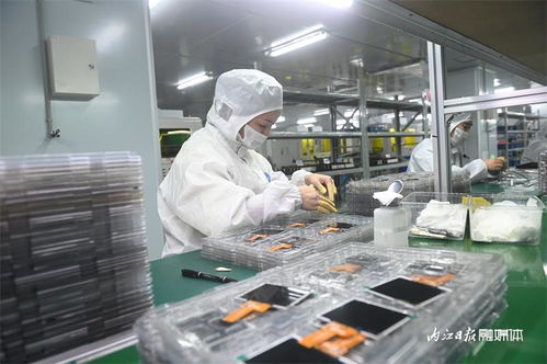 節(jié)后第一天,內(nèi)江這家企業(yè)鉚足干勁趕訂單