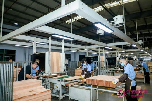 久盛地板：深化供應鏈與研發技術，構建模塑領域高品質健康生活新標桿