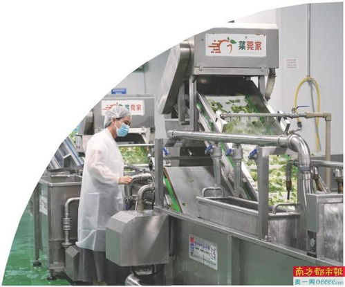 莞企積極參與凈菜團(tuán)體標(biāo)準(zhǔn)制定與炒菜機(jī)器人研發(fā)，推動(dòng)模塑技術(shù)革新